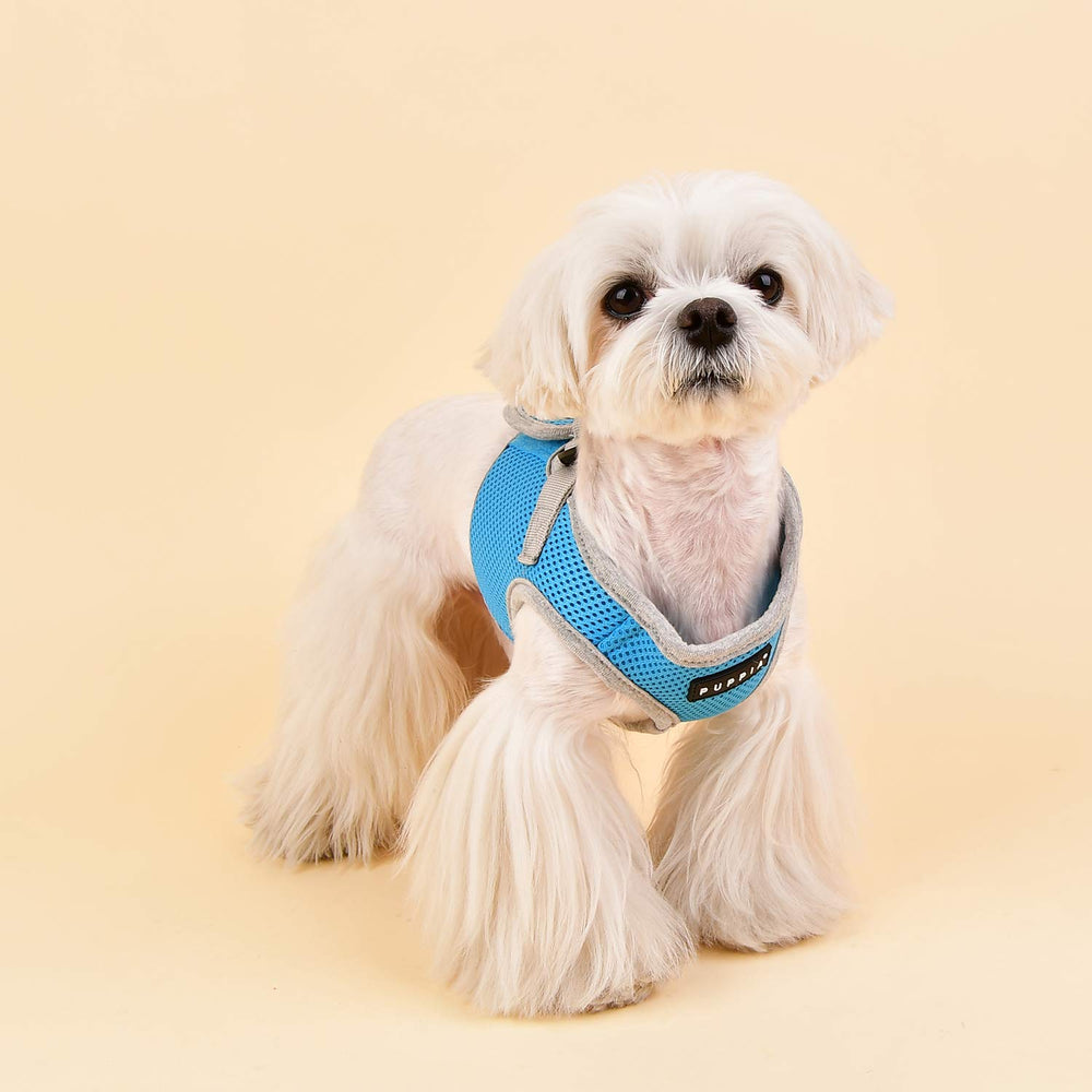 Puppia Soft Vest Harness B II Sky Blue closeup-stitching highlights durable comfort