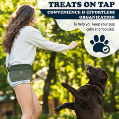 Puppington reflective leash Basil Green improves nighttime visibility