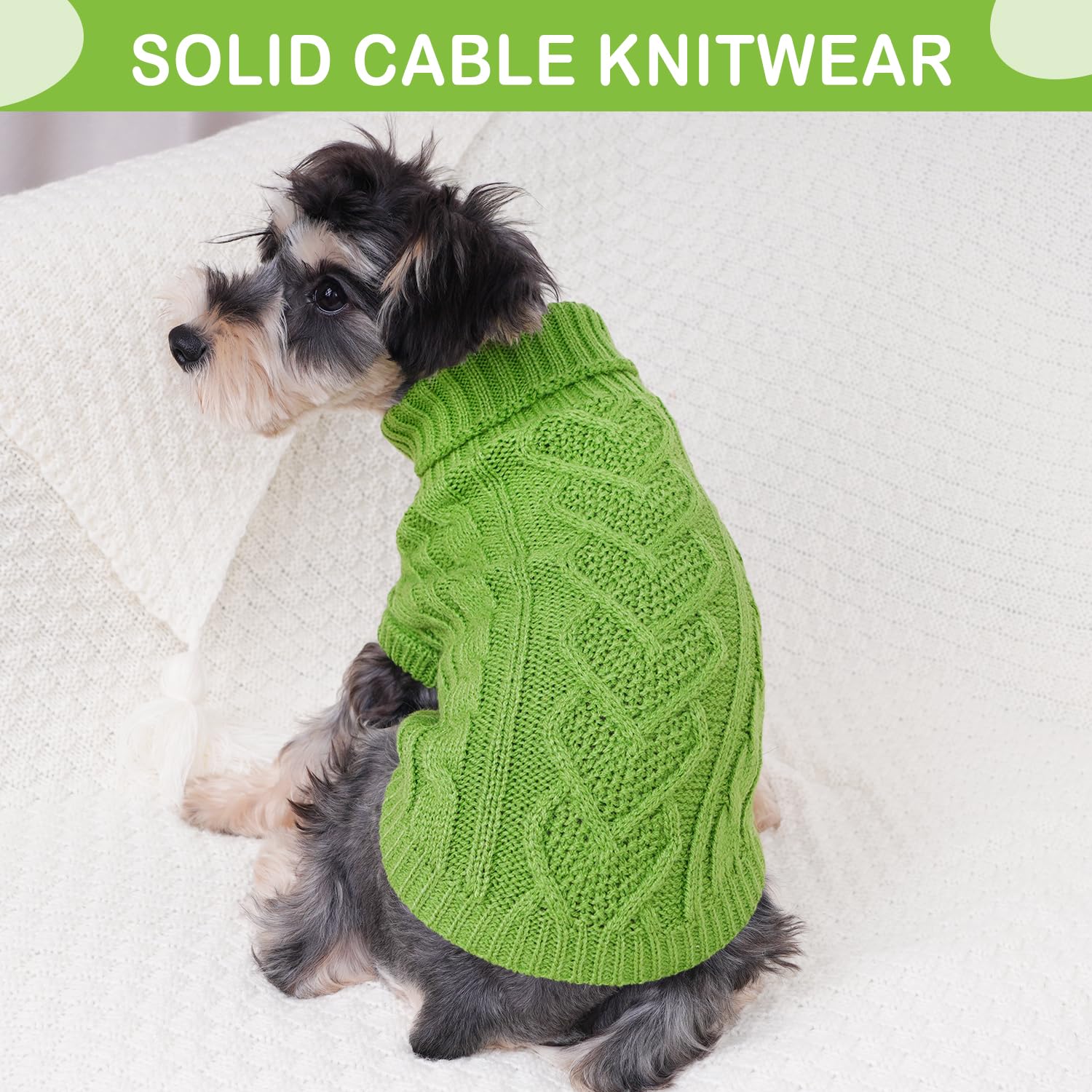 Puppishy dog sweater green small model wearing demonstrates versatile daily wear
