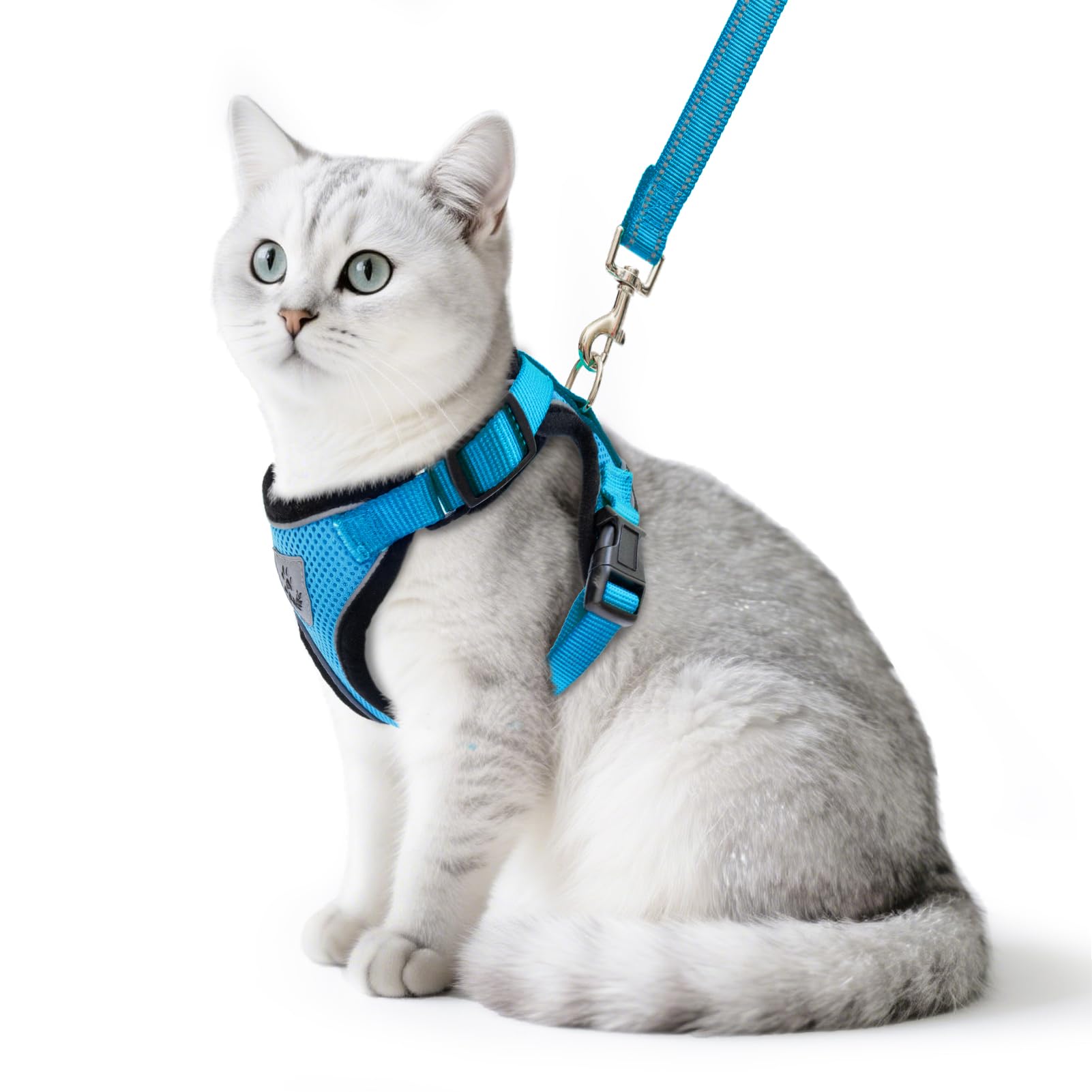 PUPTECK blue cat harness shows escape-proof design for safe walks.