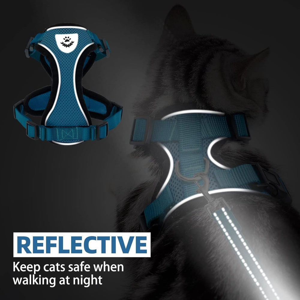 PUPTECK 4.9-foot leash extends walking range for relaxed exploration.