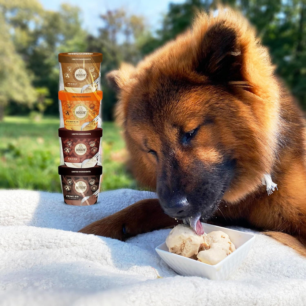Puppy Cake Hoggin Dogs pupsicles, easy summer cooling treat