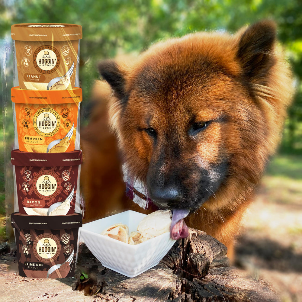 Puppy Cake Hoggin Dogs premium ingredients, safety, and care