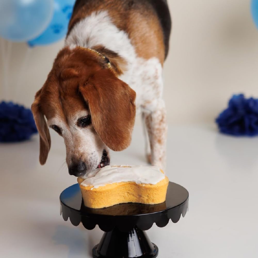 Puppy Cake made-in-usa birthday cake mix with local ingredients and quality