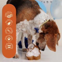 Puppy Cake mezcla para torta de perro, preparación rápida y fácil
