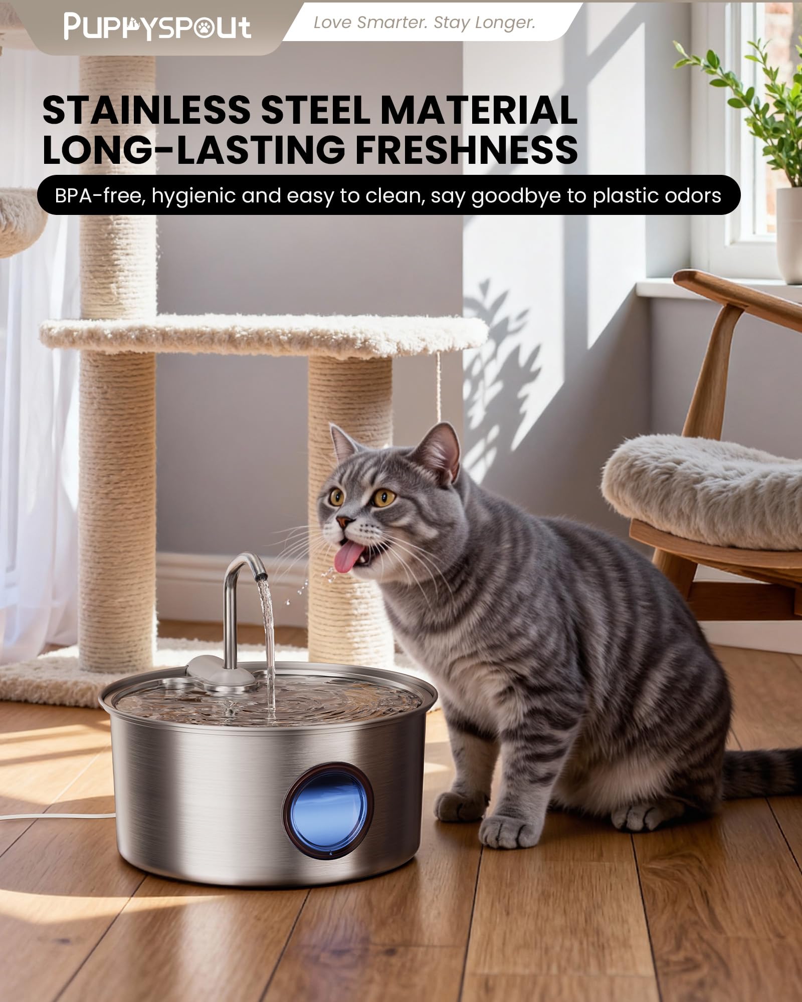 Puppyspout cat water fountain pump detached for easy maintenance