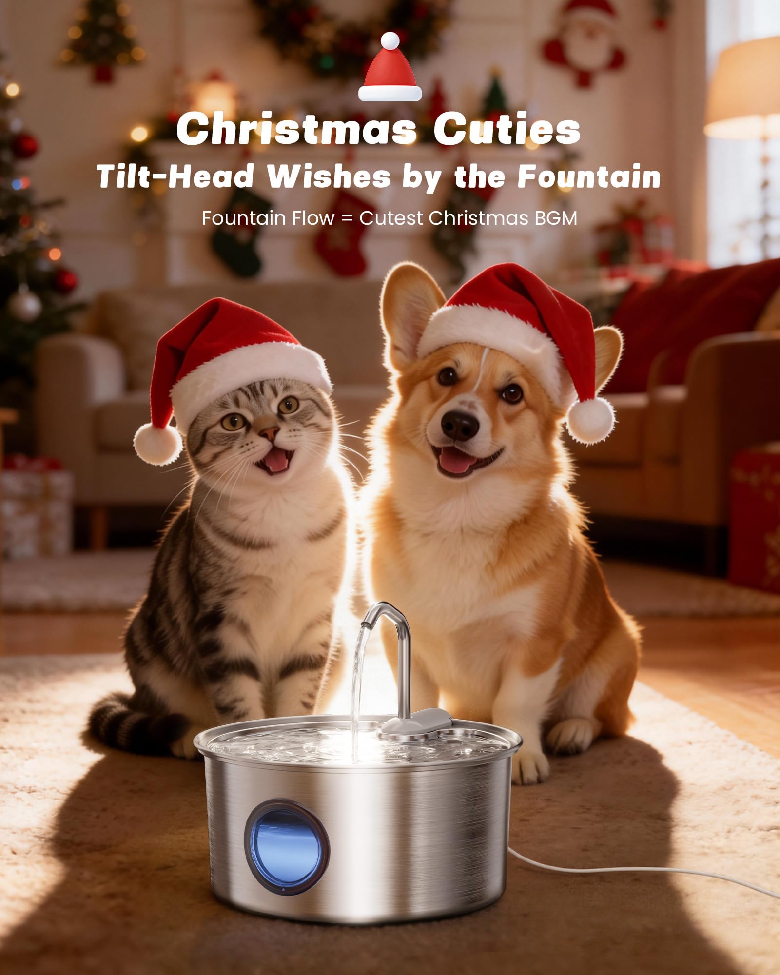 Puppyspout cat water fountain quiet motor supports peaceful home environment