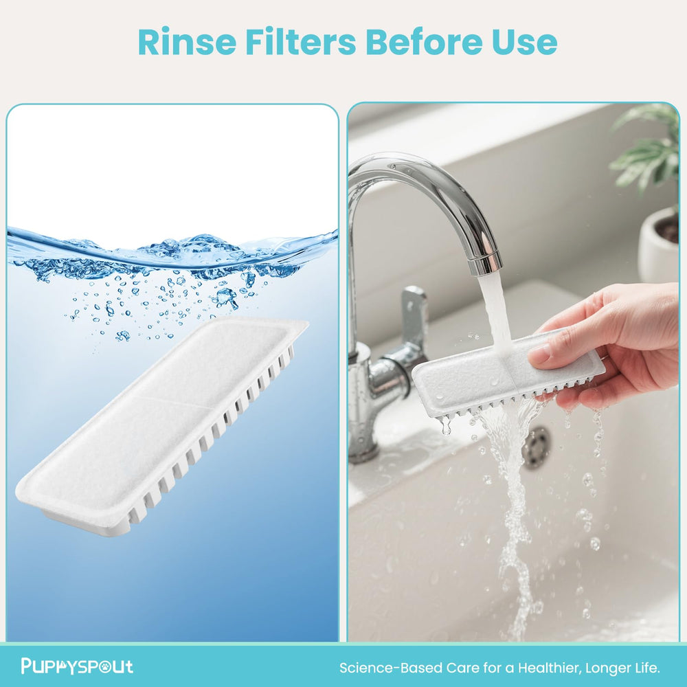 PuppySpout leak-proof design prevents water stains on floors.