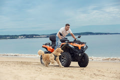 Puppytie adjustable strap provides secure, comfortable fit.