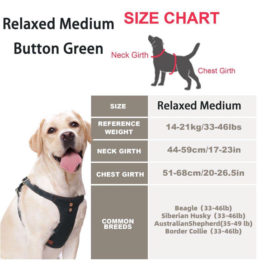Puppytie adjustable-straps no-pull harness for secure, active-dog wear.