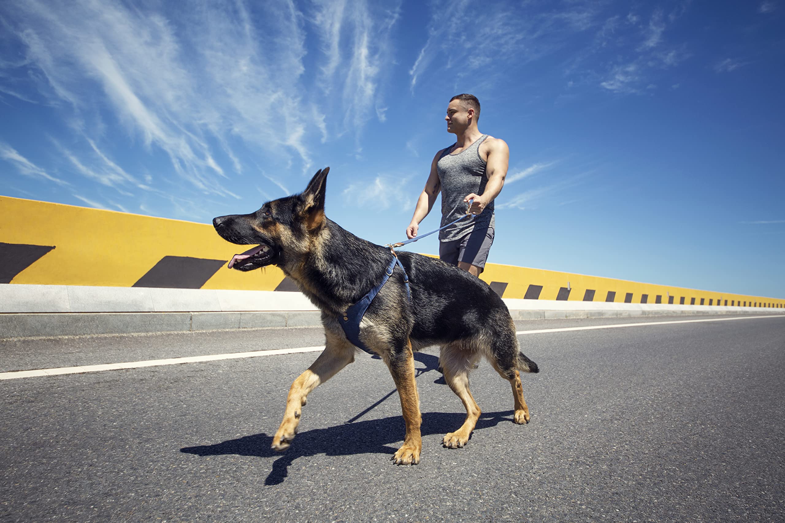 Puppytie dog harness medium blue vest designed for everyday wear and durable performance.