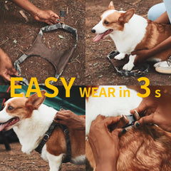 Puppytie easy-walk design reduces pulling for calmer strolls