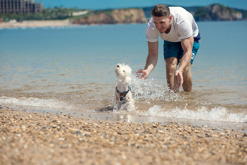 Puppytie 5-in-1 leash in blue camouflage enables flexible walking configurations.