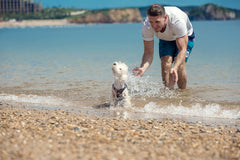 Puppytie 5-in-1 leash in blue camouflage enables flexible walking configurations.