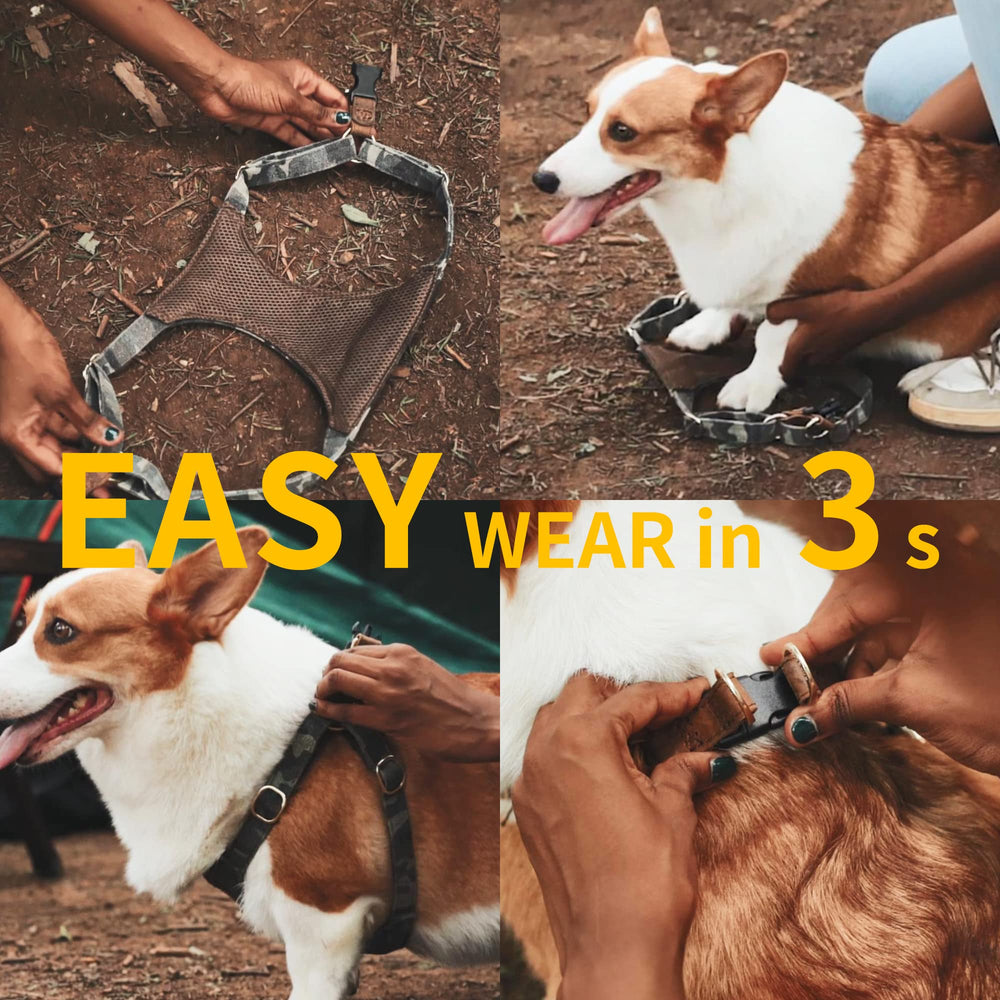 Puppytie multi-function leash blue set enables versatile control during walks.