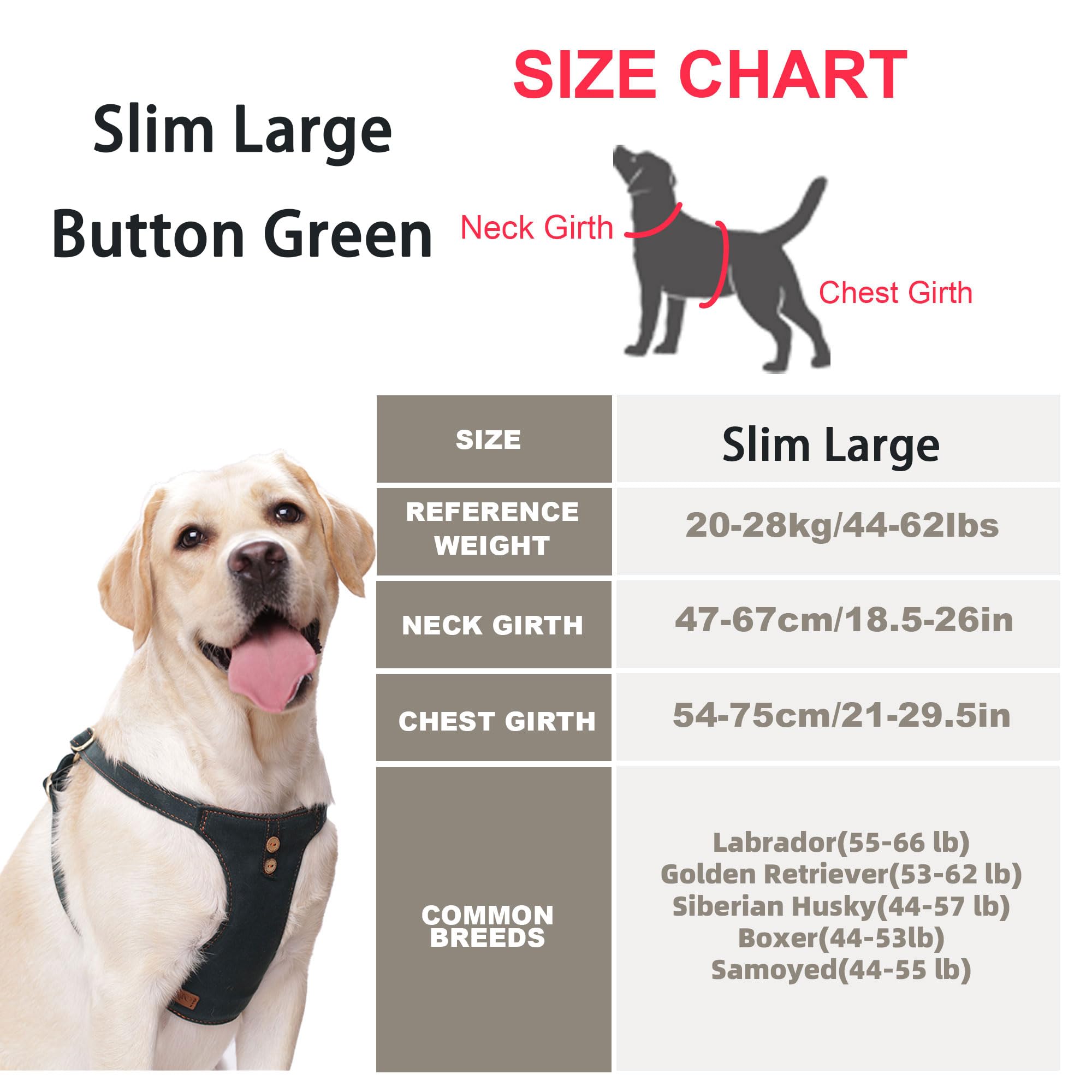 Puppytie multi-function-leash-set-medium supports versatile outings with leash and harness in one