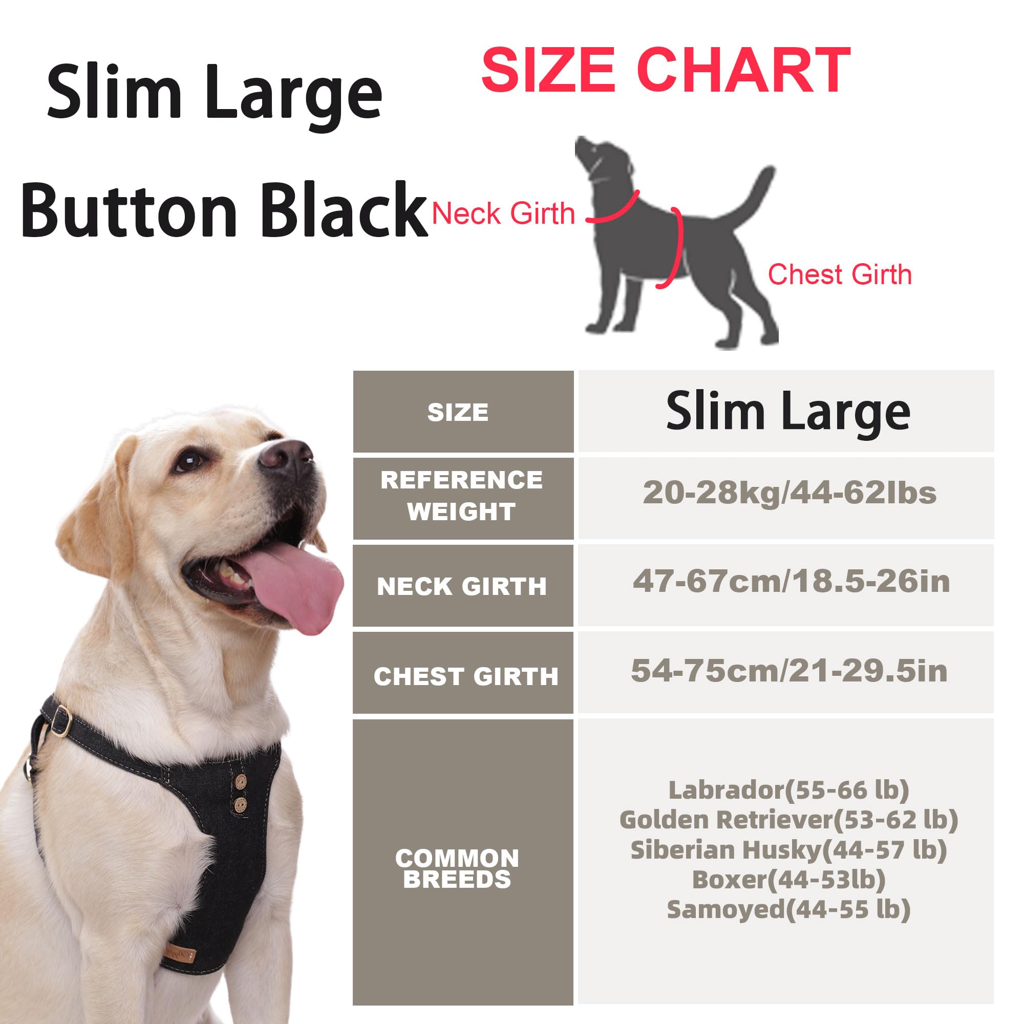 Puppytie multi-function leash set for versatile training and daily walks.