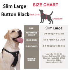 Puppytie multi-function leash set for versatile training and daily walks.