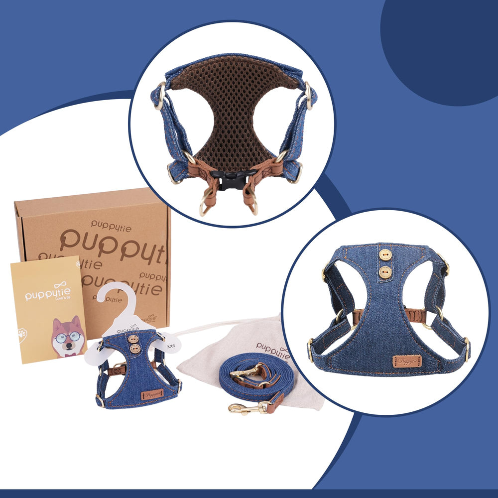 Puppytie multifunction leash setup enables versatile walking options for owners.
