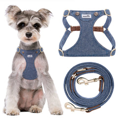 Puppytie no-pull harness in denim blue worn by a small dog for lightweight comfort