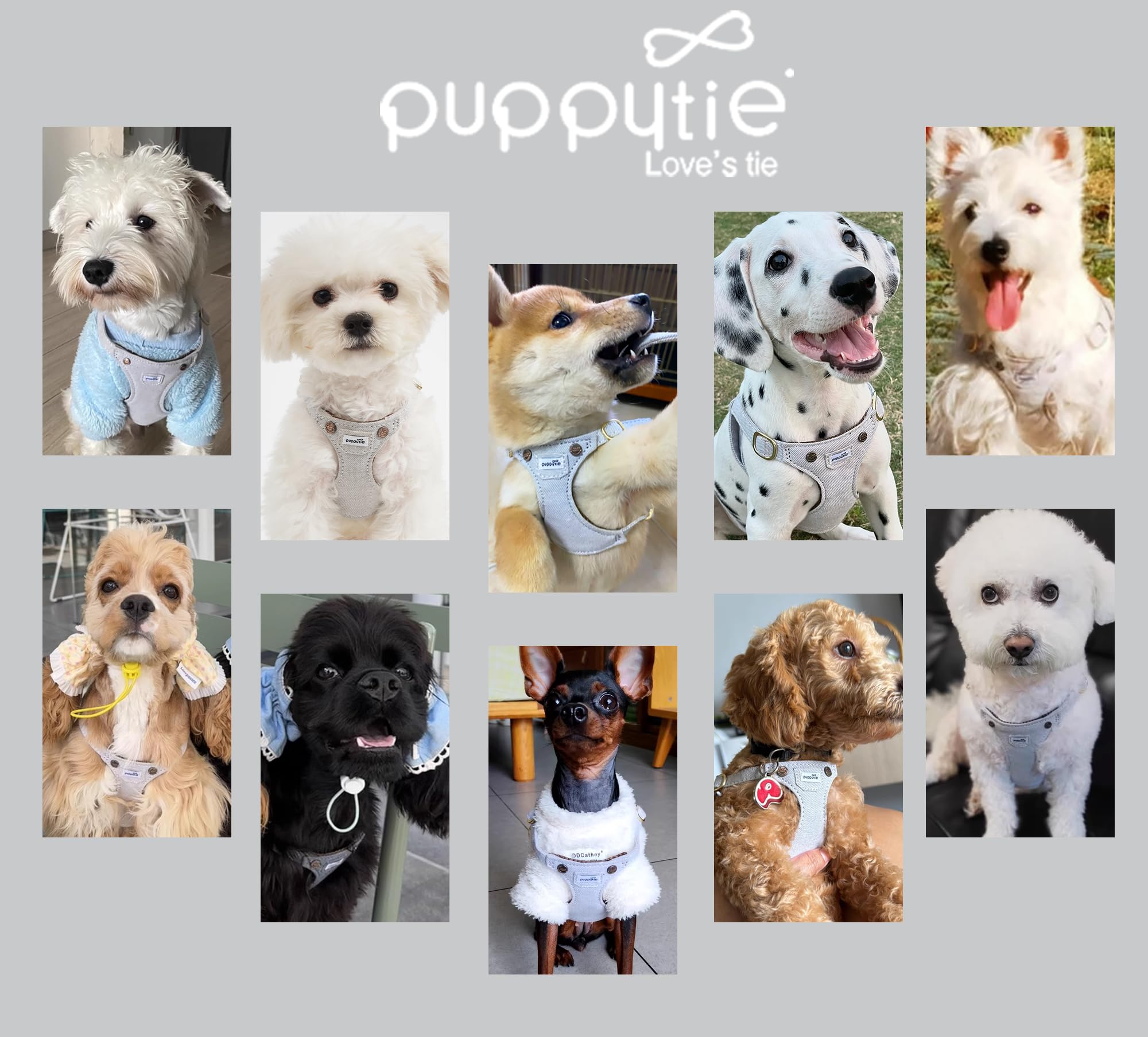 Puppytie No Pull Harness ultra-light weight design aids comfortable movement