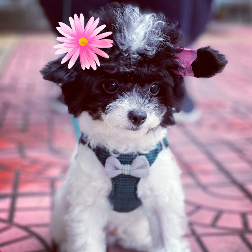 Puppytie harness with waterproof and rust-proof hardware for durability