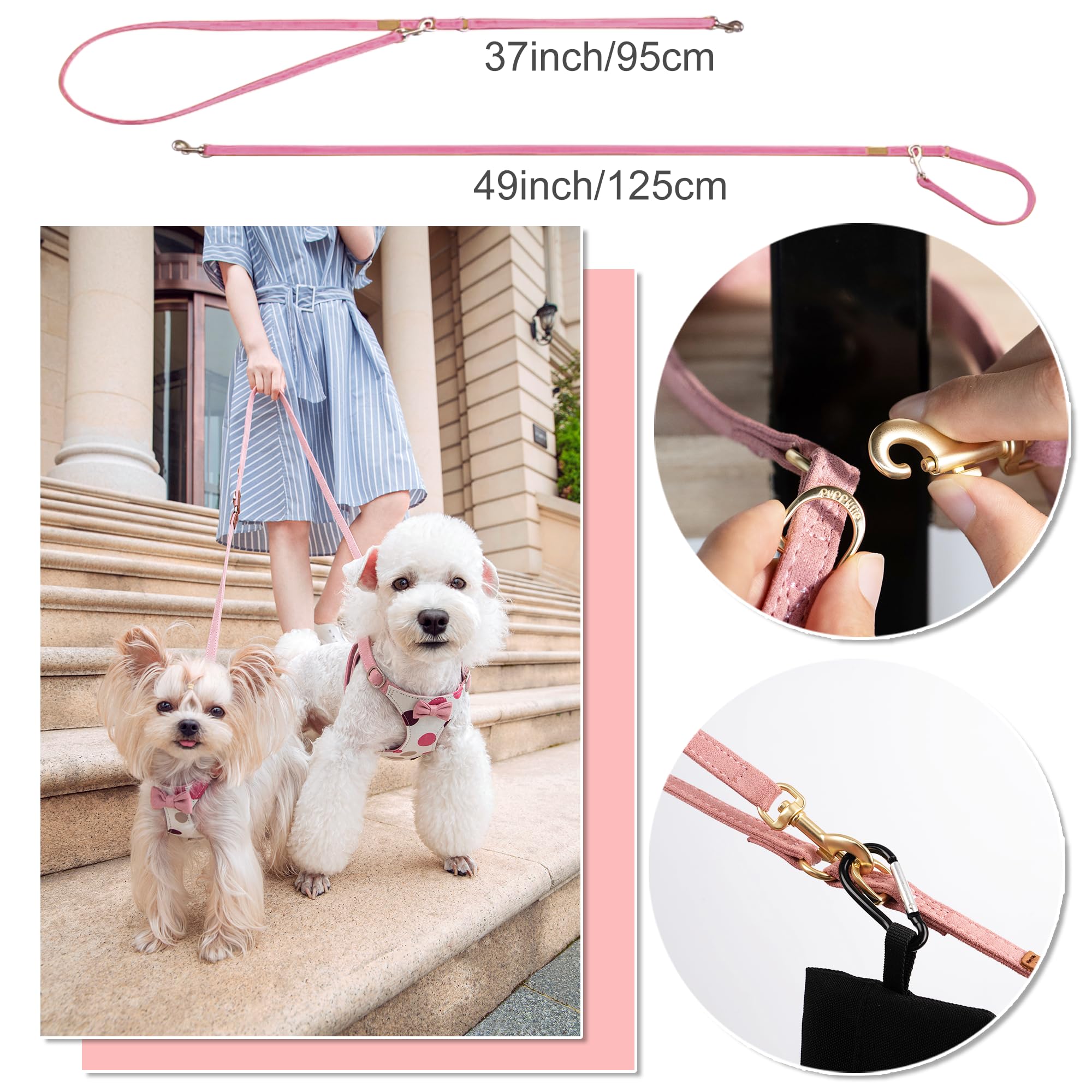 Puppytie No Pull XS dual-length leash demonstrates versatile walking options.