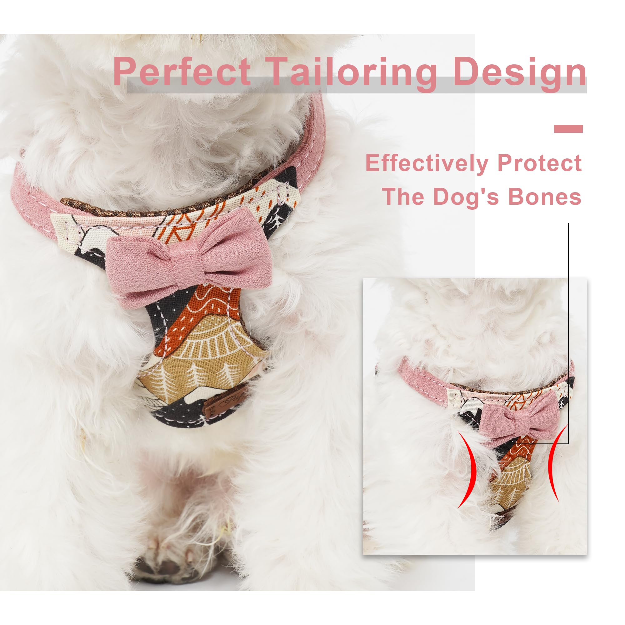 Puppytie No Pull XS gift packaging makes a thoughtful gift.