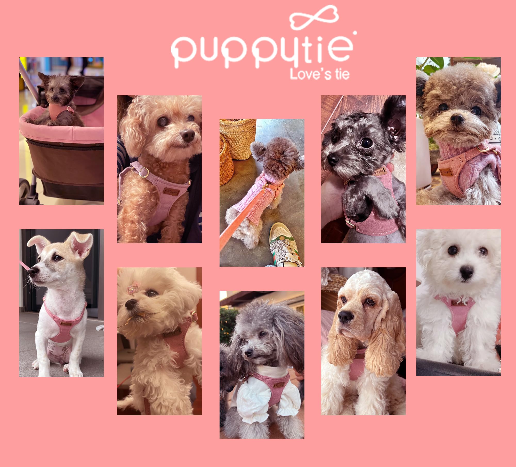 Puppytie packaging gift-ready, ideal for thoughtful pet gifts.