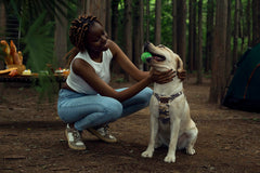 Puppytie soft vest harness closeup highlights padded gentle support for dogs.