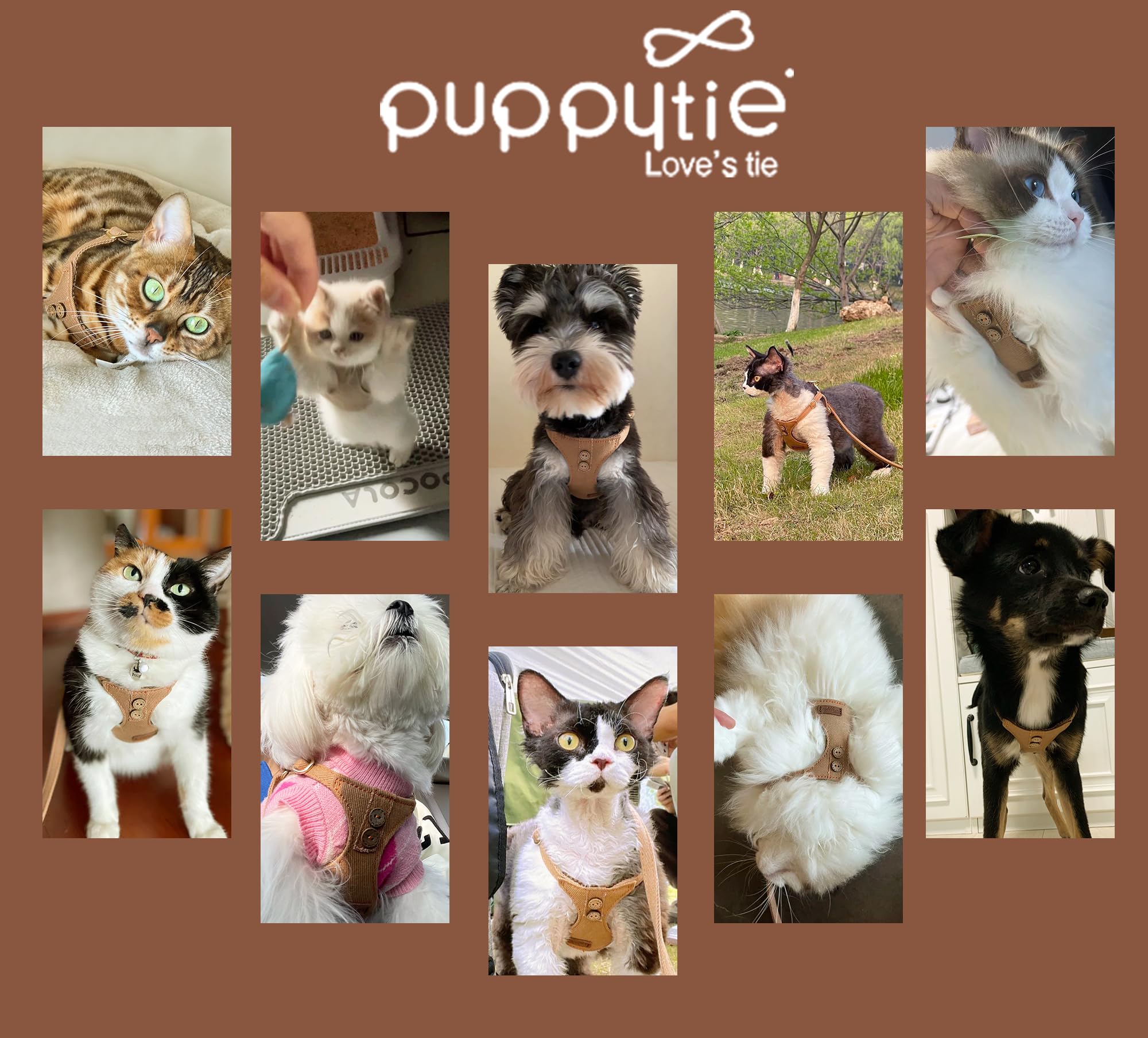 Puppytie two-length leash 49in-37in enables flexible pairing or hands-free options.