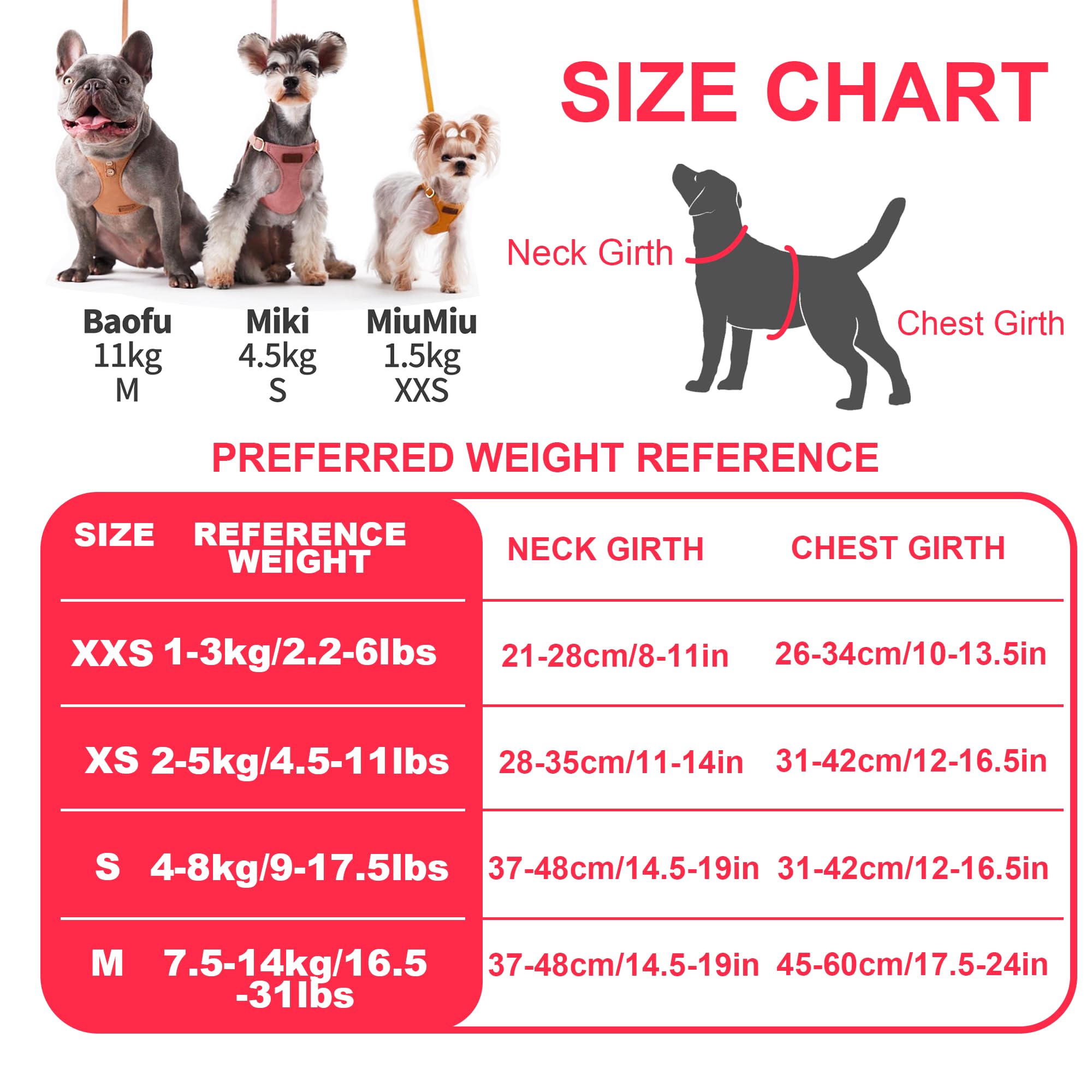 Puppytie XS harness worn by a small dog showing comfortable fit.
