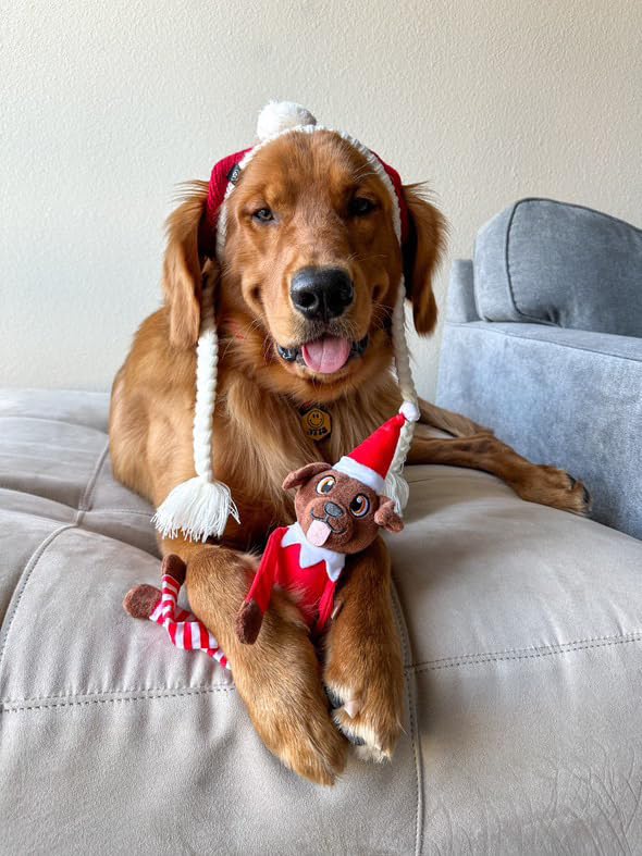 PUPROAR Pooch on a Perch elf toy with squeaker excites dogs during playtime.