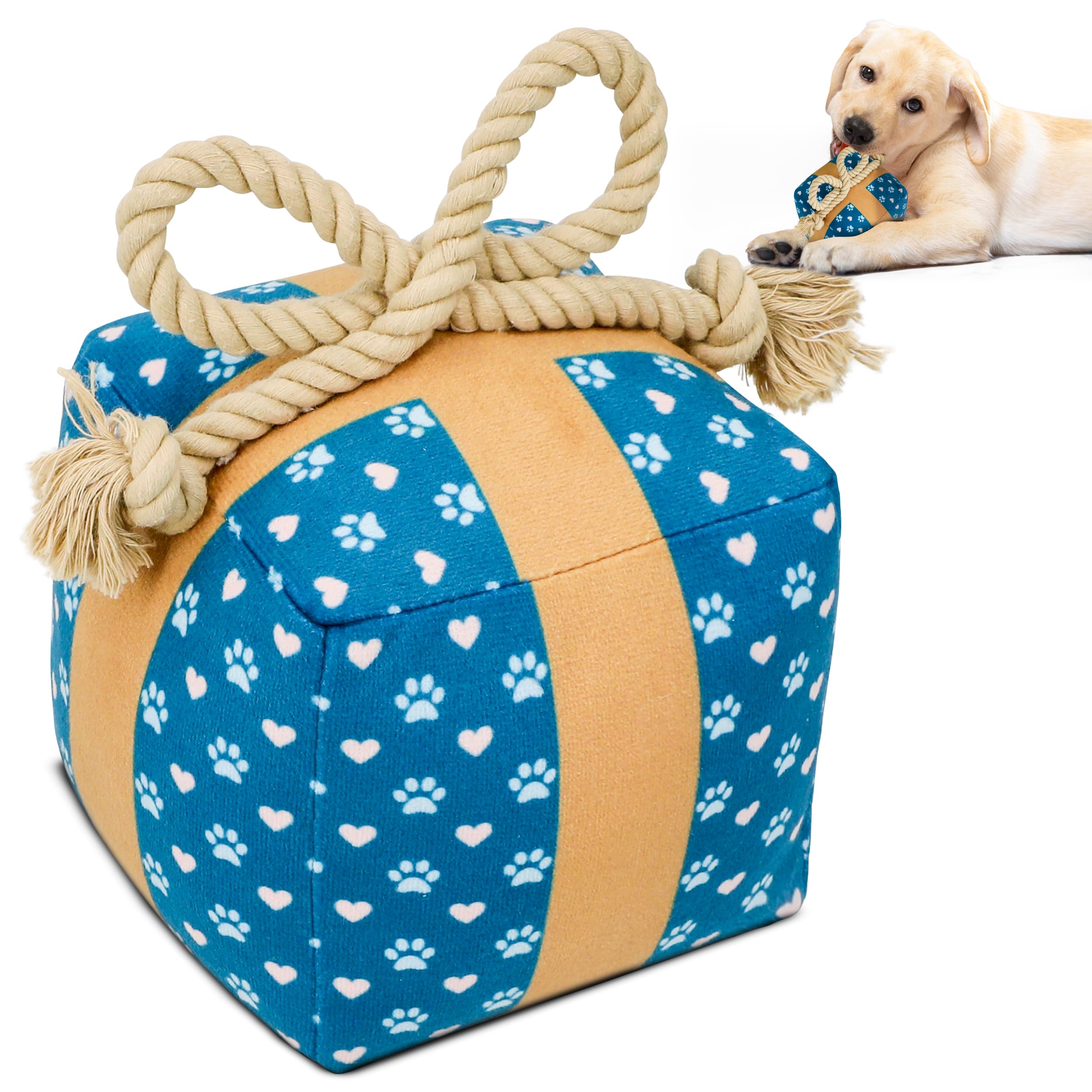 PUPROAR Regalo-juguete-perro en caja, ideal para cumpleaños.