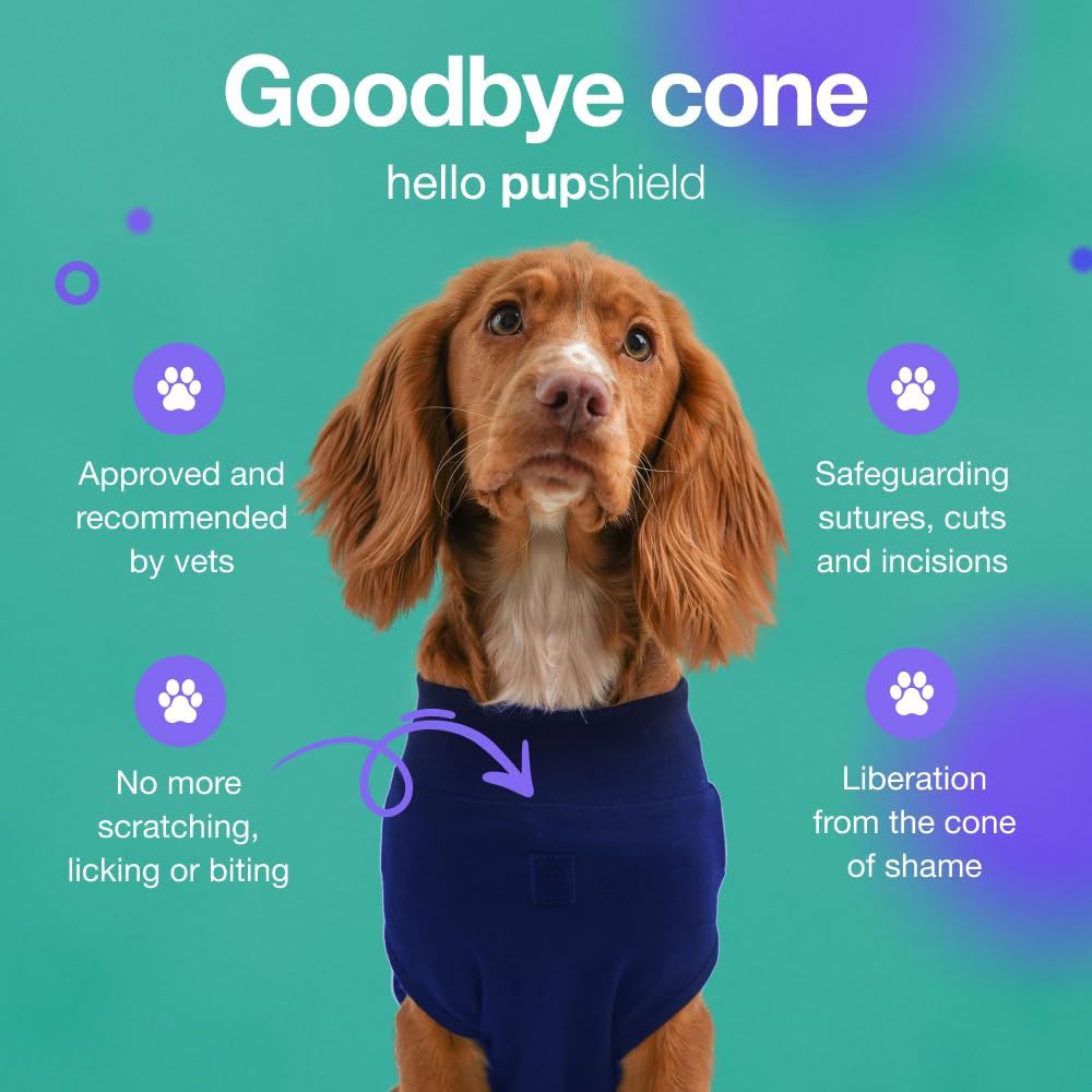 PupShield anti-licking design preventing licking during recovery