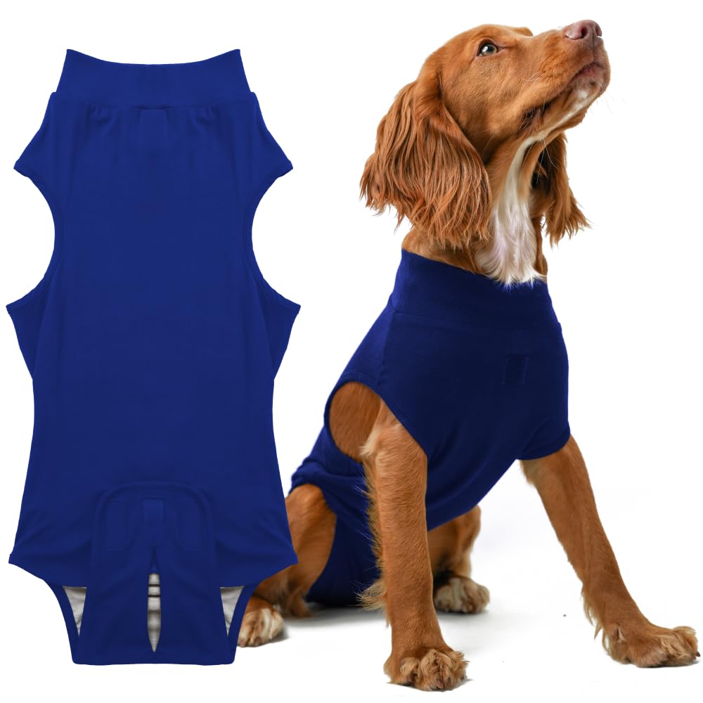 PupShield soft breathable recovery suit on dog for comfortable post-surgery wear