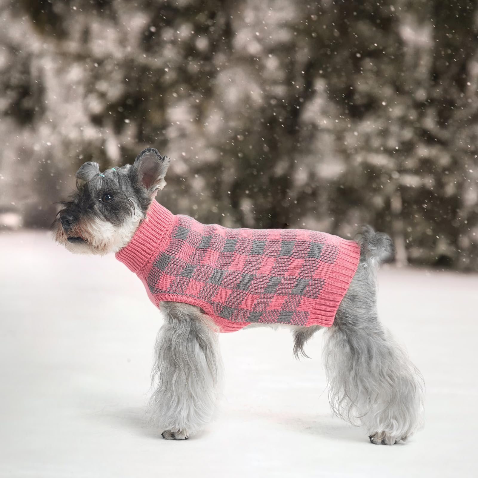 PUPTECK winter fashion sweater adds festive charm to outings.