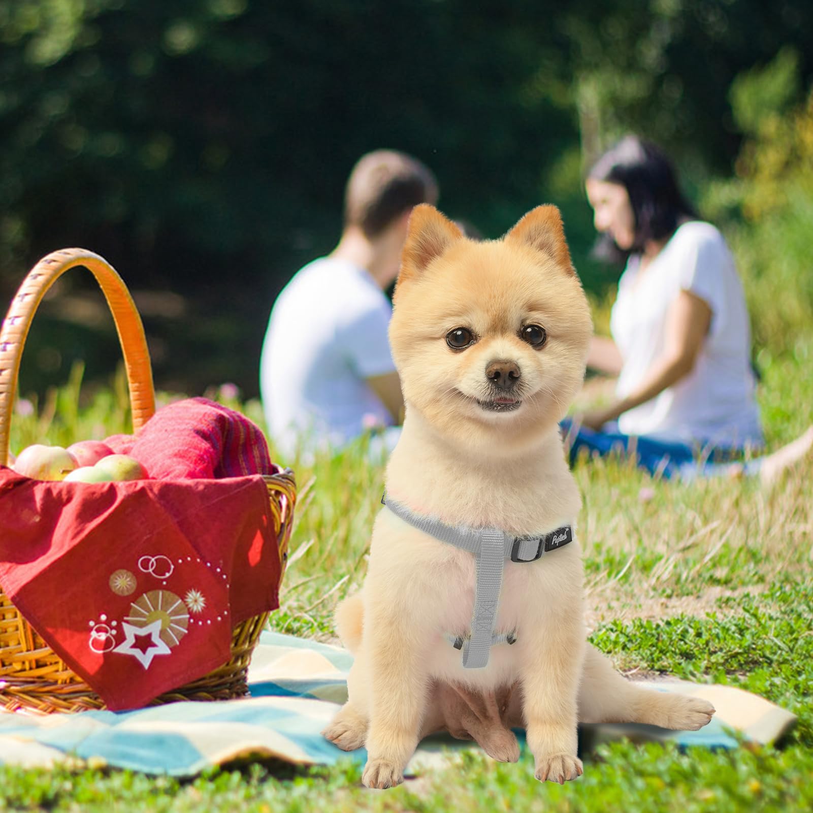 PUPTECK adjustable straps-size guide image demonstrates customizable fit for different breeds.
