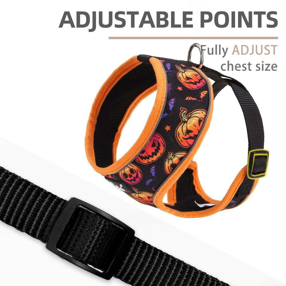 PUPTECK air mesh breathable design keeps pets cool during adventures.