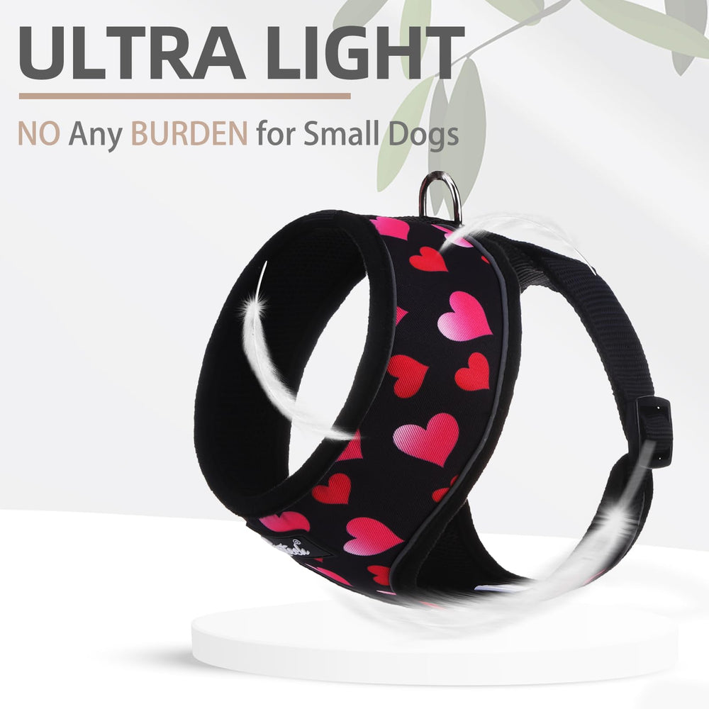 Pupteck all-season wear design supports active dogs year-round.