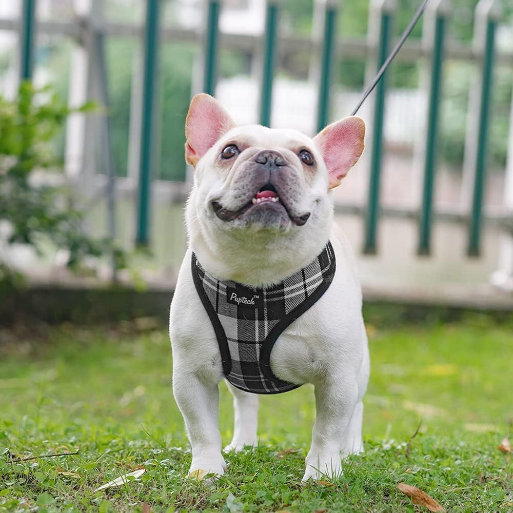 PUPTECK size chart image helps choose the right fit for your dog.
