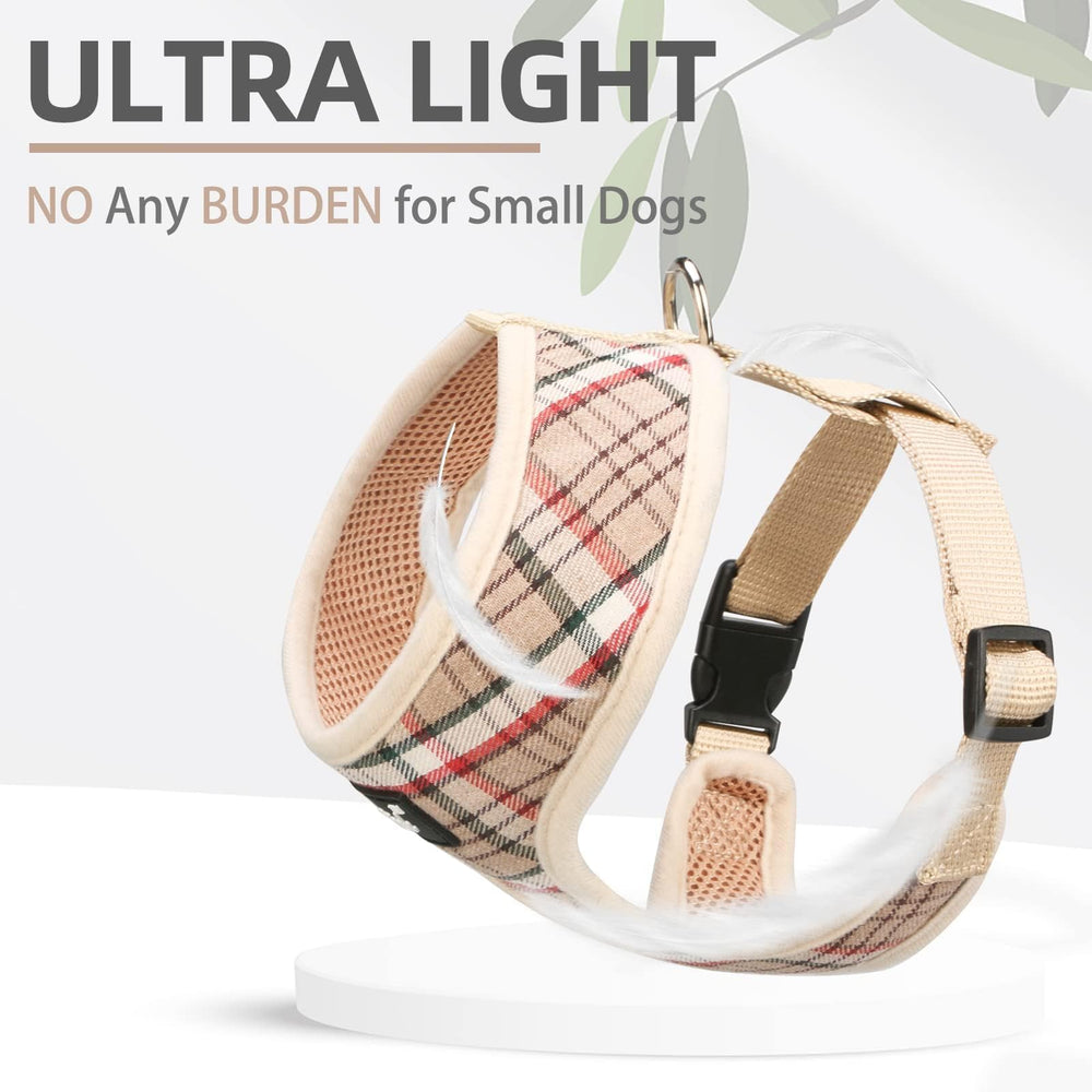 PUPTECK D-ring leash attachment shows sturdy control.