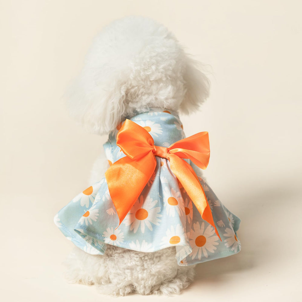 Ropa canina de PUPTECK con diseños variados, ideal para uso diario.