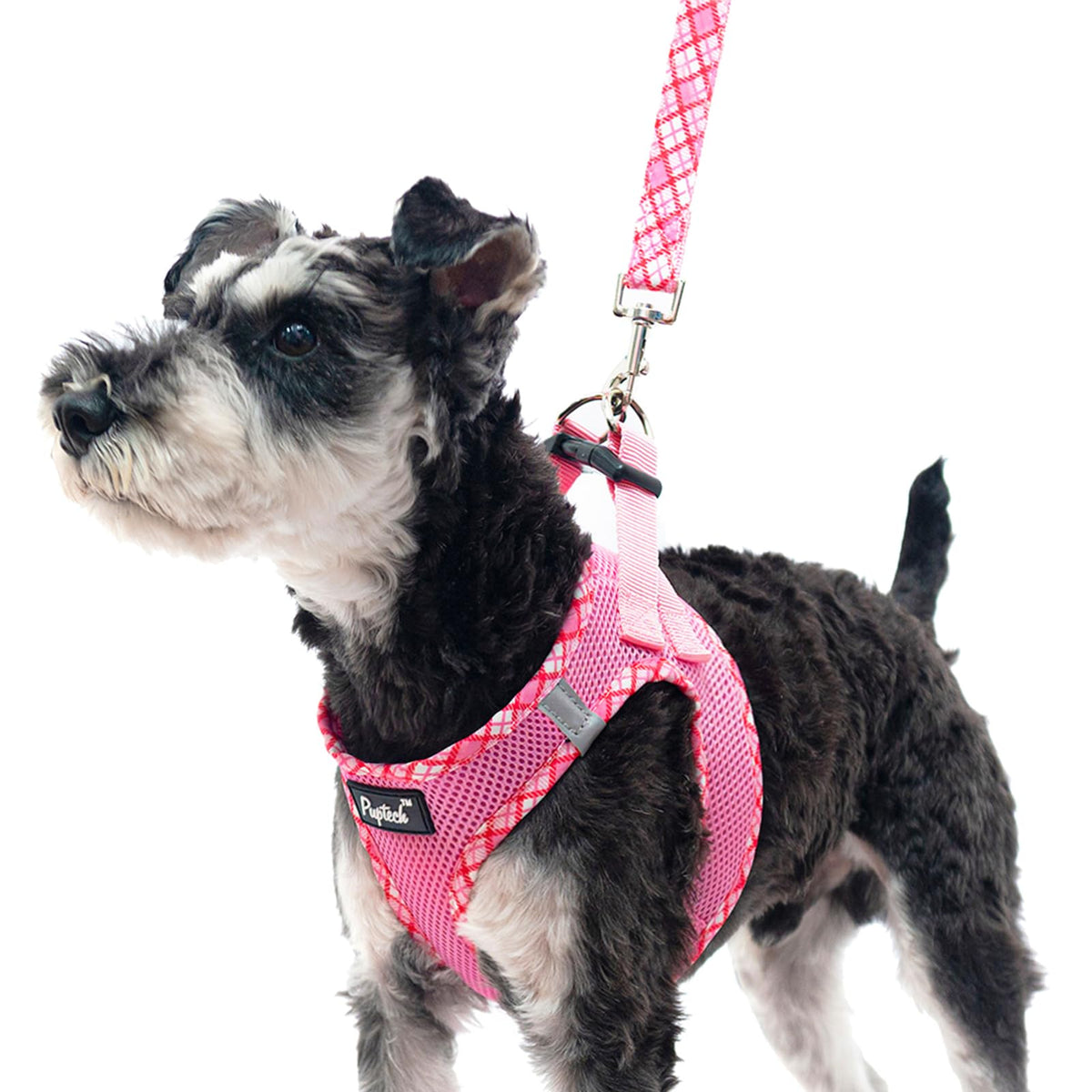 pupt-eck-dog-harness-pink-step-in-design enables quick wear.