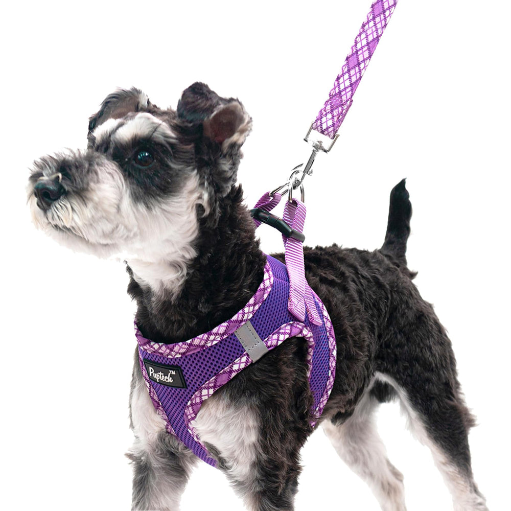PUPTECK dog harness step-in soft mesh purple XS for comfortable walks
