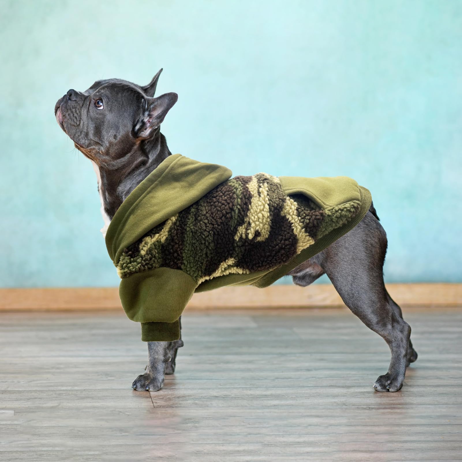 PUPTECK dog hoodie back pocket for small items on outings