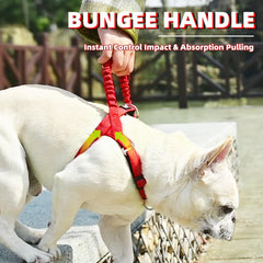 PUPTECK Double D-Ring attachment points for versatile training and daily walking