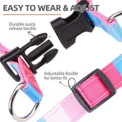 PUPTECK durable nylon material with high-density webbing supports daily walks.
