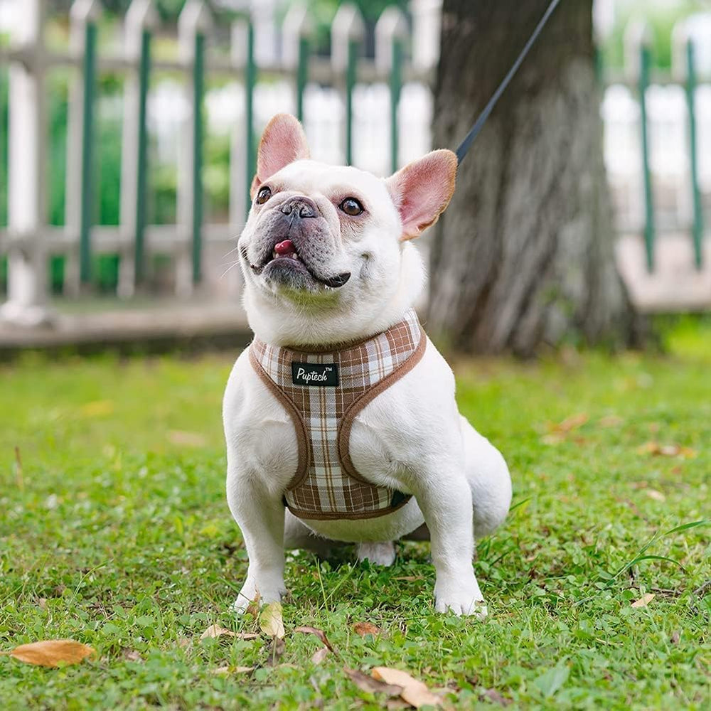 PUPTECK easy-on-off buckle image proves quick fitting for busy owners.