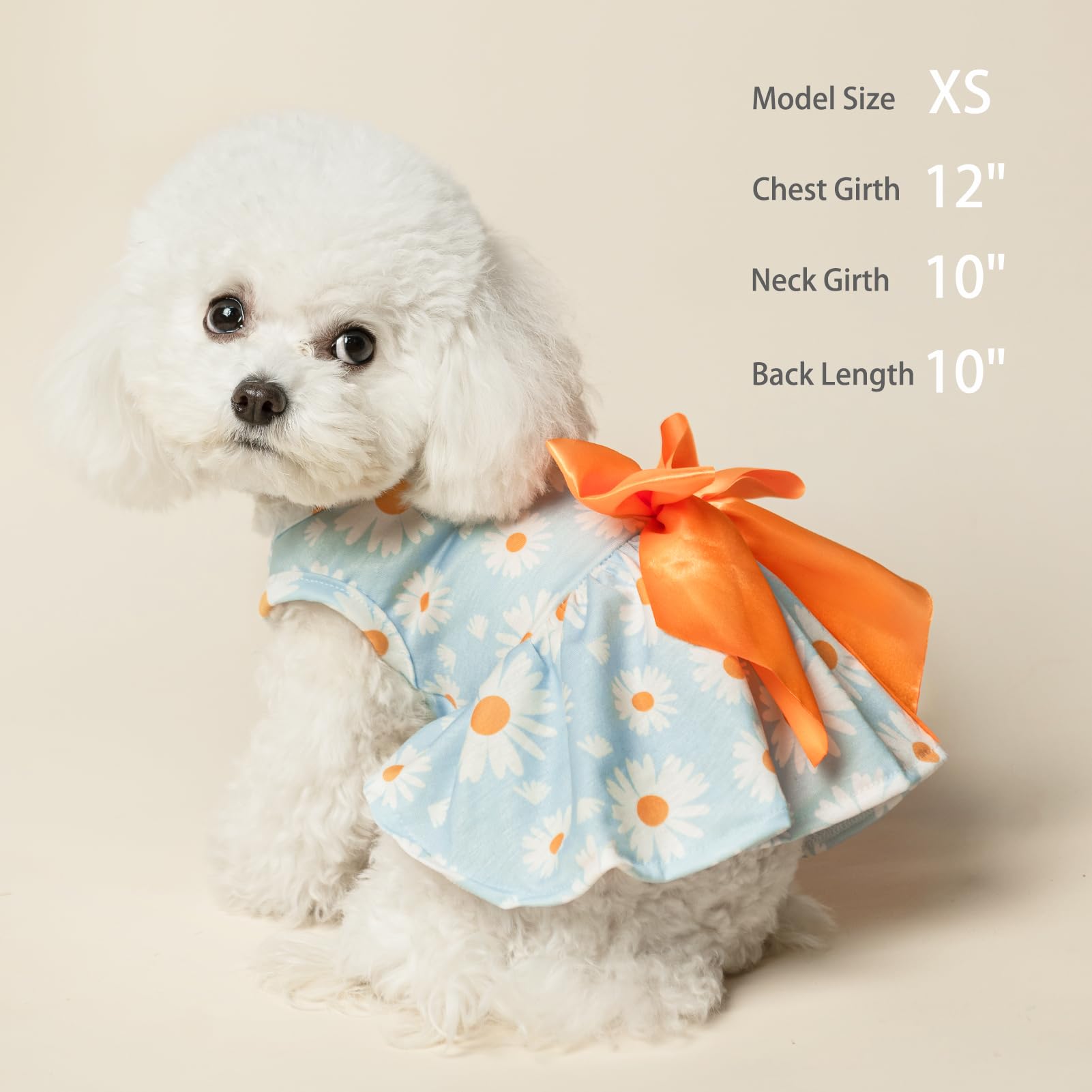 Estampado plaid de PUPTECK para perro pequeño, adecuado para salidas.